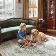 Green Washable Vintage Rug Distressed Retro Non-Slip Soft Carpet for Indoor