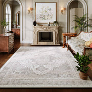Soft Washable Vintage Rug Light Grey Distressed Non-Slip Stain Resistant Indoor Carpet