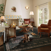 Vintage Washable Soft & Stain Resistant Area Rug Carpets Black Brown