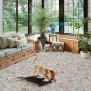 Floral Soft & Stain Resistant Non-Slip Vintage Washable Area Rug Indoor Beige Gray